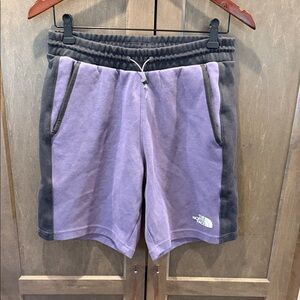 The North Face Men's Lavender and Charcoal Fleece Athletic Shorts